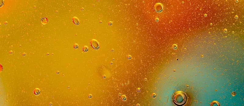 DEREGULATED NUTRIENT SENSING preview